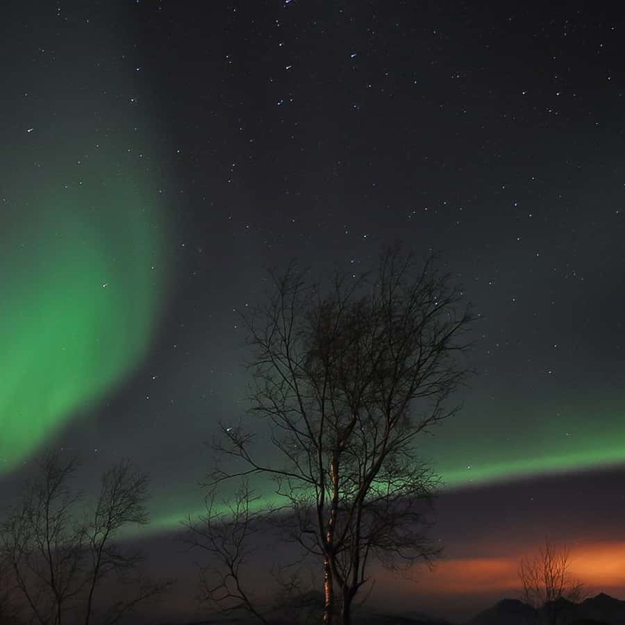 Tromsø Northern Lights Husky Visit with Traditional Dinner