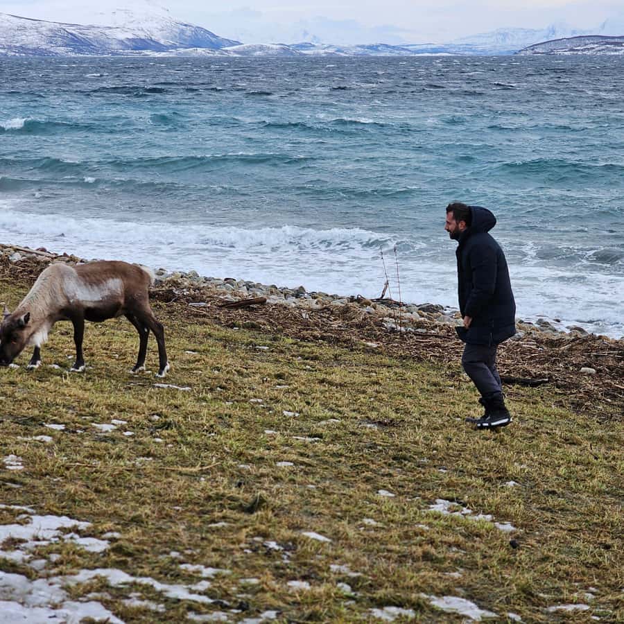 From Tromsø Arctic Wildlife & Fjord Sightseeing Tour by Car