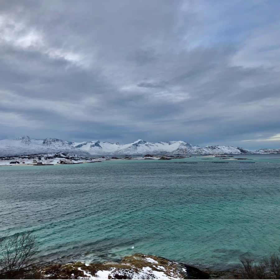 Tromsø Fjords and Sommarøy Islands Tour with Salmon Picnic