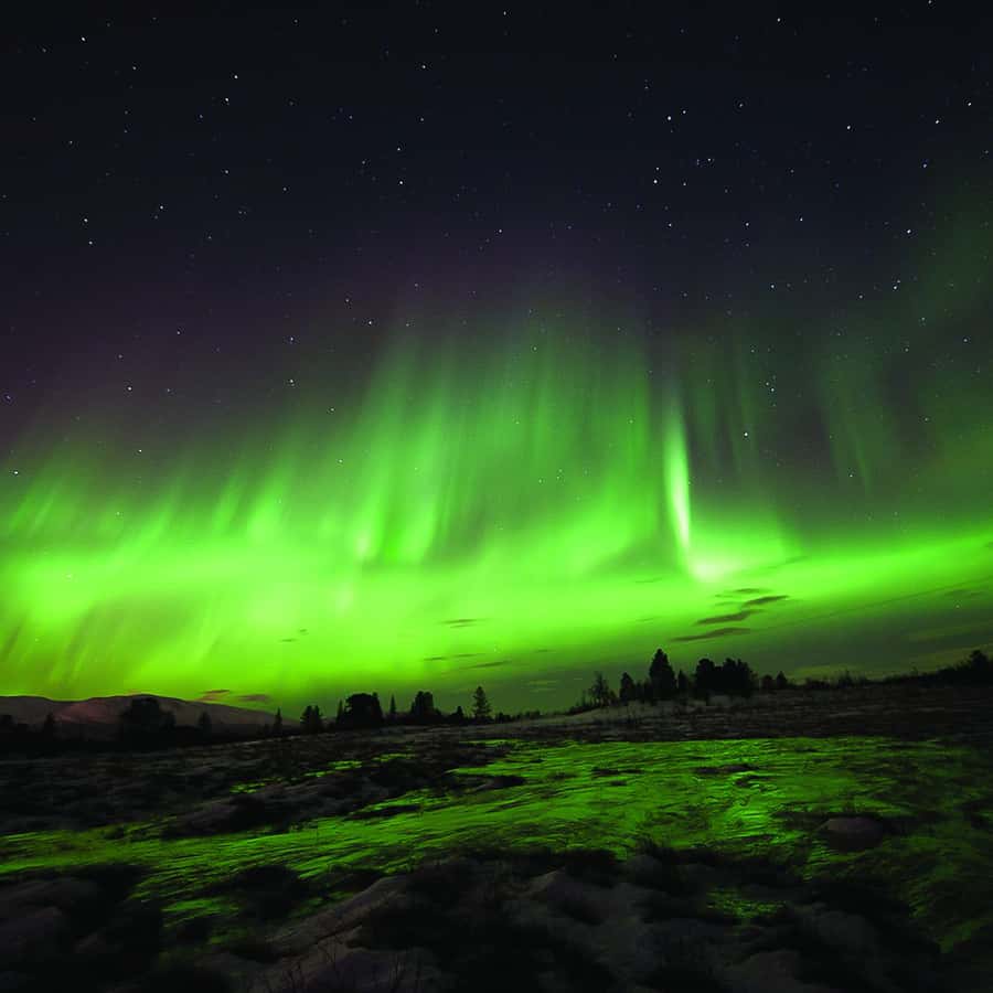Tromsø Northern Lights Husky Visit with Traditional Dinner