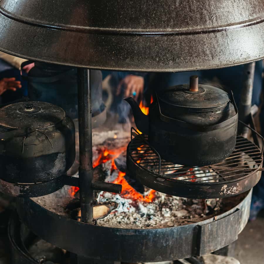 Tromsø Reindeer Sledding & Feeding with a Sami Guide