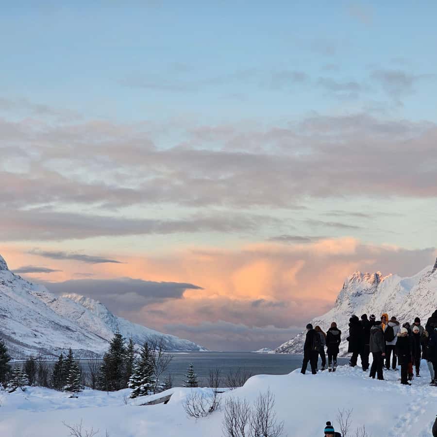 From Tromsø Arctic Wildlife & Fjord Sightseeing Tour by Car