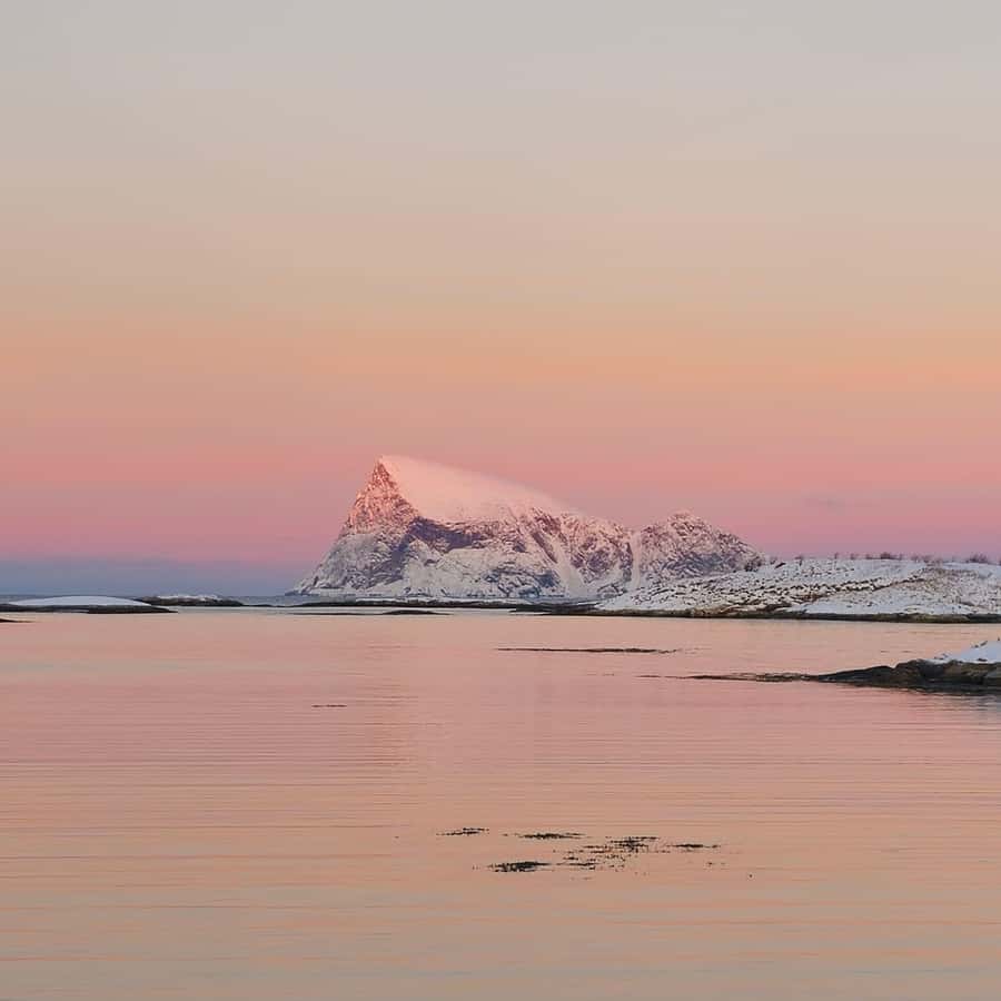 From Tromsø Arctic Wildlife & Fjord Sightseeing Tour by Car