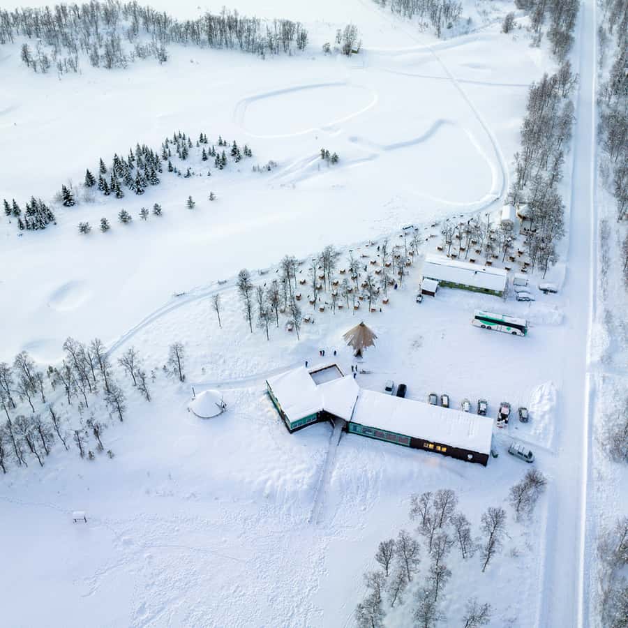 From Tromsø Husky Experience with Self Drive Dog Sled Ride