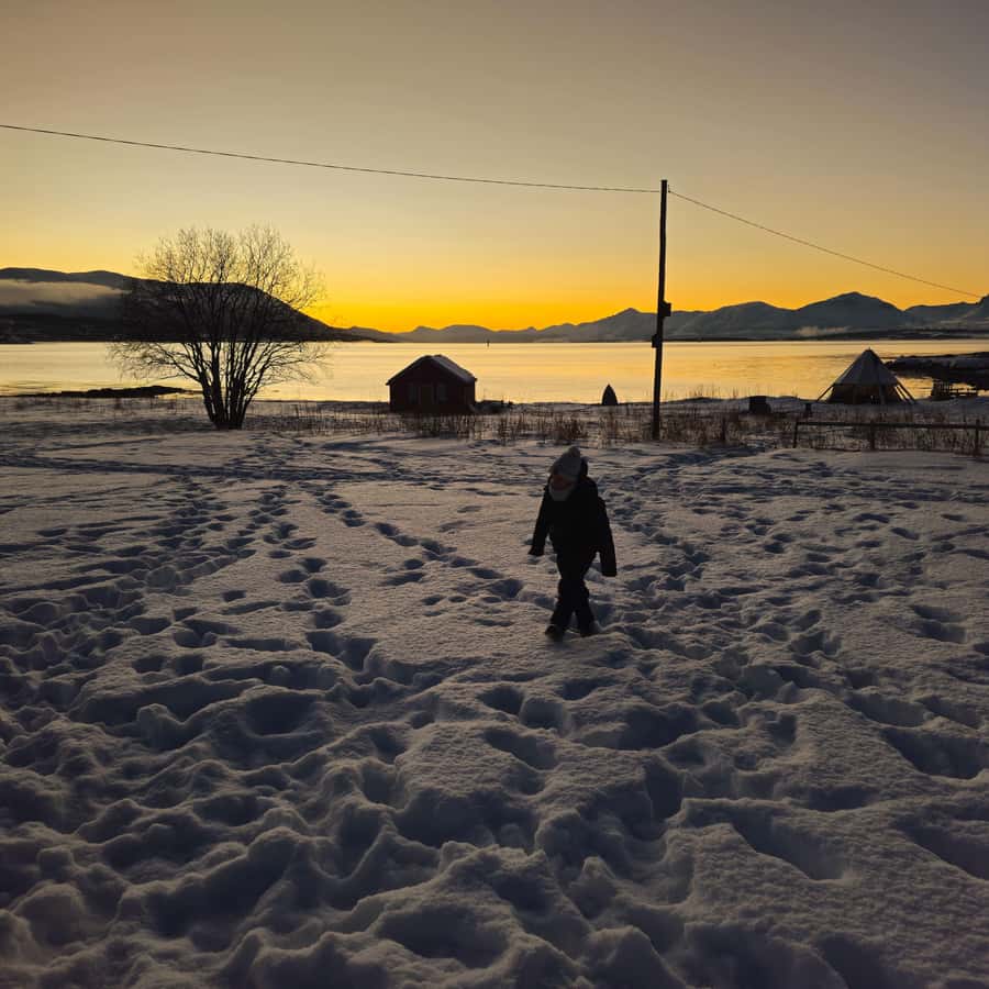 From Tromsø Arctic Wildlife & Fjord Sightseeing Tour by Car