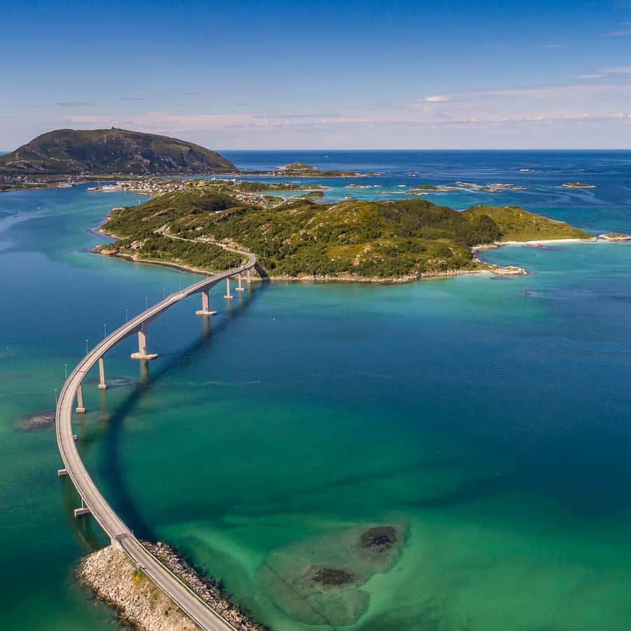 From Tromsø Arctic Wildlife & Fjord Sightseeing Tour by Car