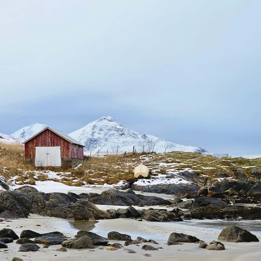 From Tromsø Arctic Wildlife & Fjord Sightseeing Tour by Car