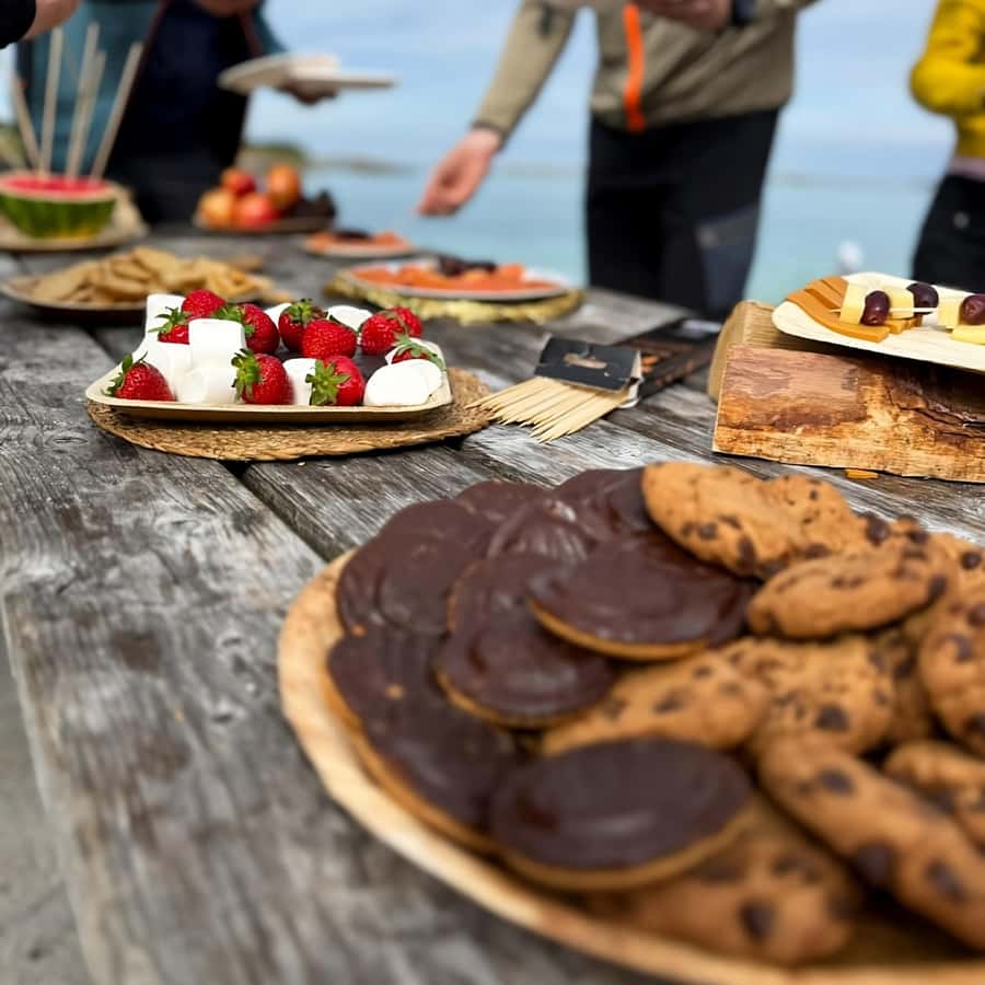 Tromsø Fjords and Sommarøy Islands Tour with Salmon Picnic