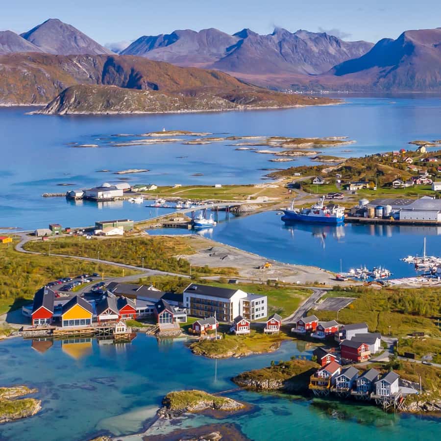 From Tromsø Arctic Wildlife & Fjord Sightseeing Tour by Car