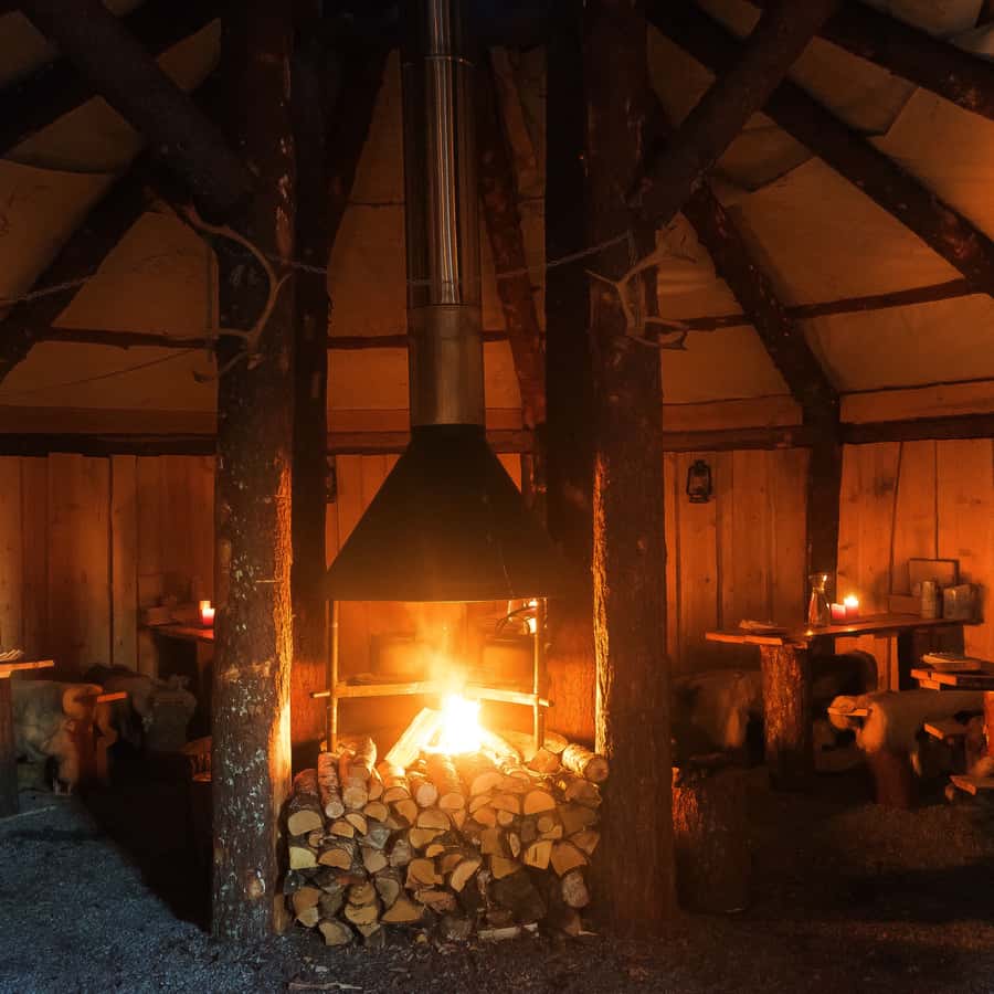 Tromsø Reindeer Sled Dinner and Chance of Northern Lights