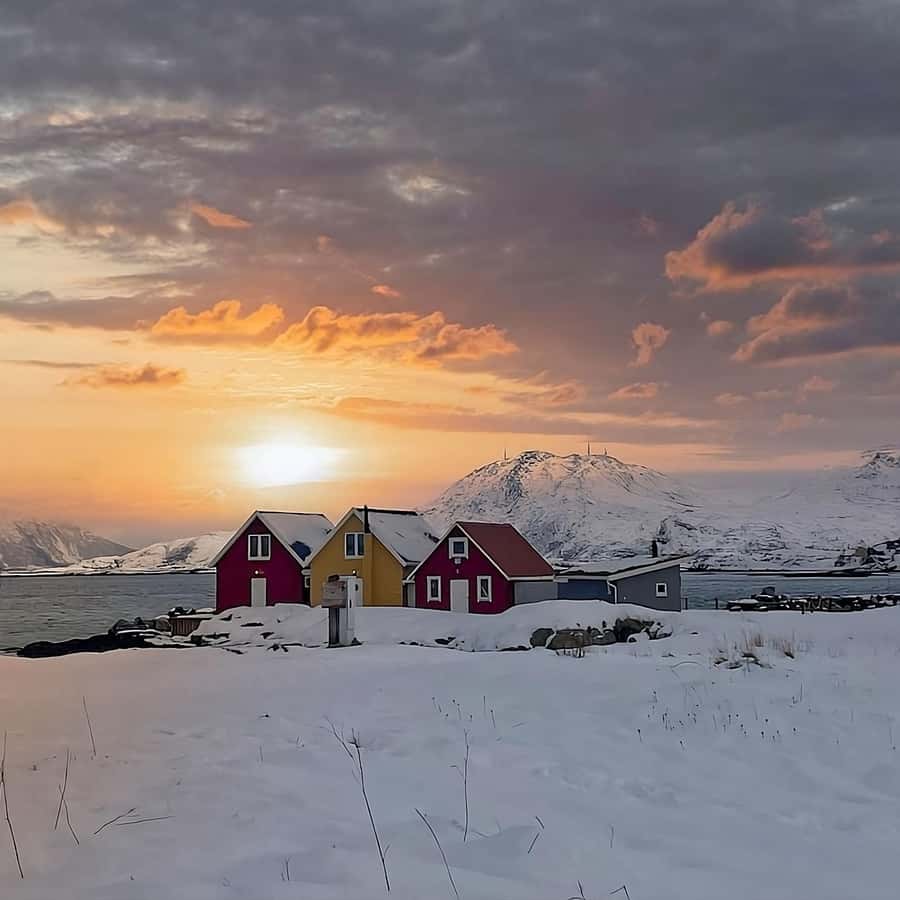Tromsø Fjords and Sommarøy Islands Tour with Salmon Picnic