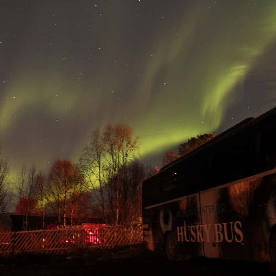 Tromsø Northern Lights Husky Visit with Traditional Dinner