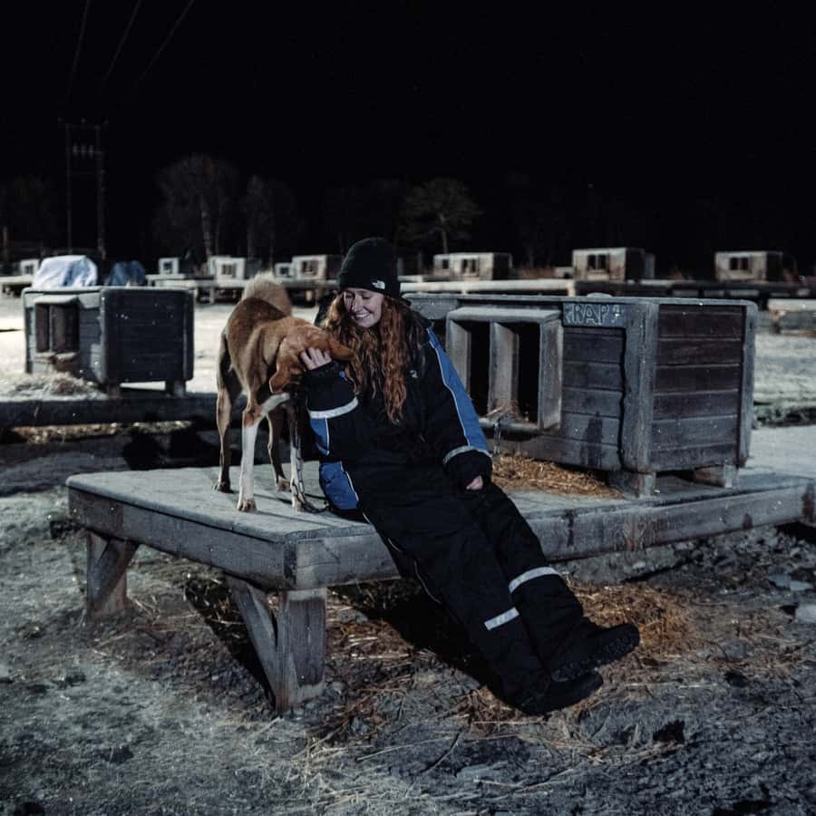 Tromsø Northern Lights Husky Visit with Traditional Dinner