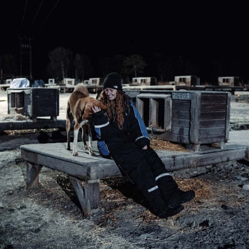 Tromsø Northern Lights Husky Visit with Traditional Dinner