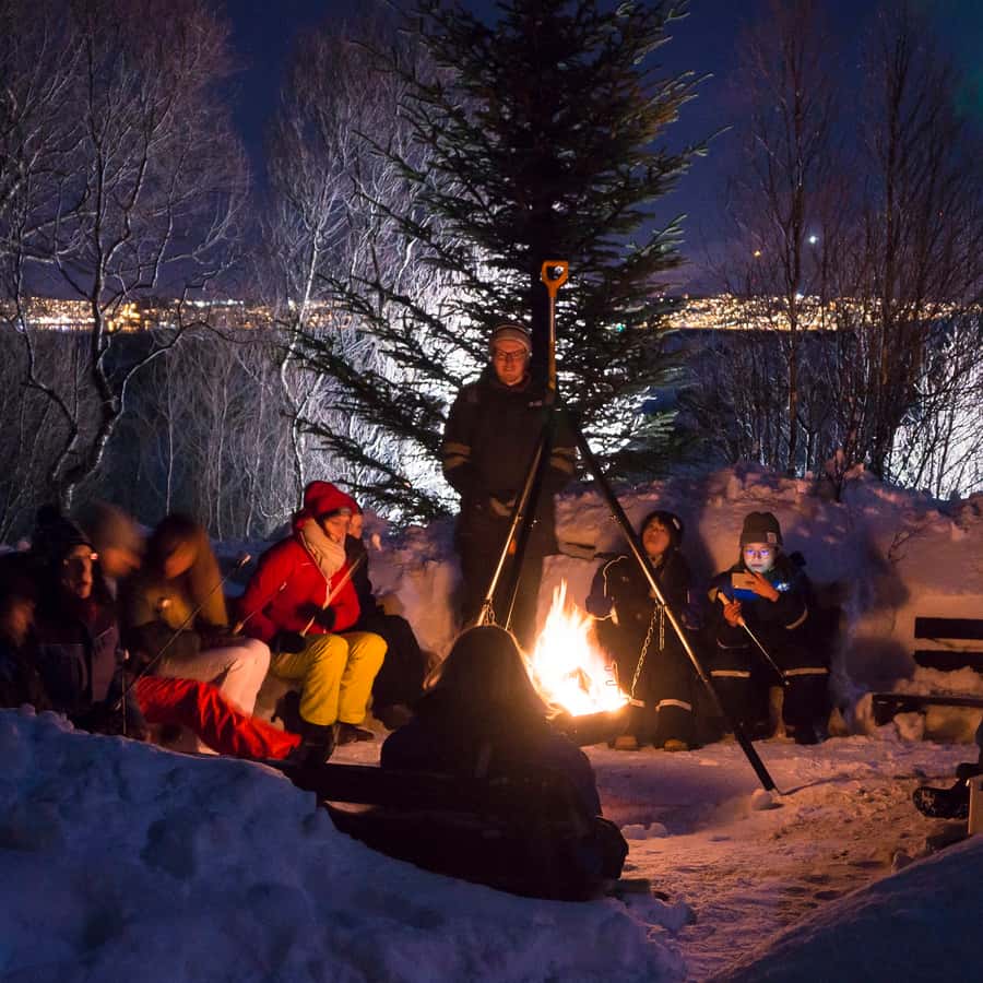 Tromsø Northern Lights Husky Visit with Traditional Dinner
