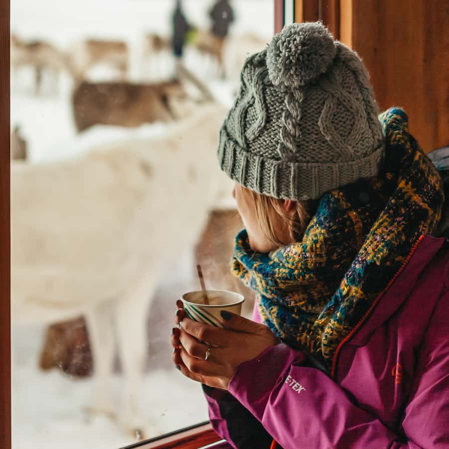 Tromsø Reindeer Sledding & Feeding with a Sami Guide
