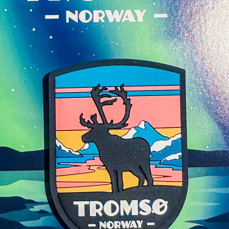 Tromsø: Royal Reindeer Feeding & Sami Culture Experience