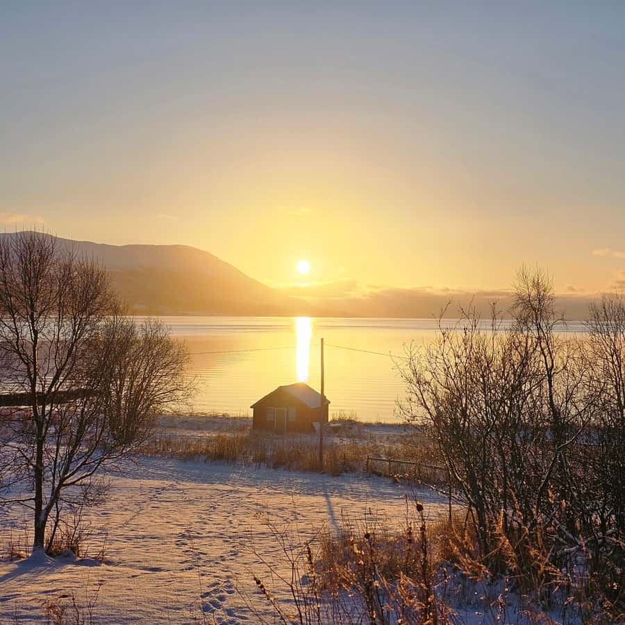 From Tromsø Arctic Wildlife & Fjord Sightseeing Tour by Car