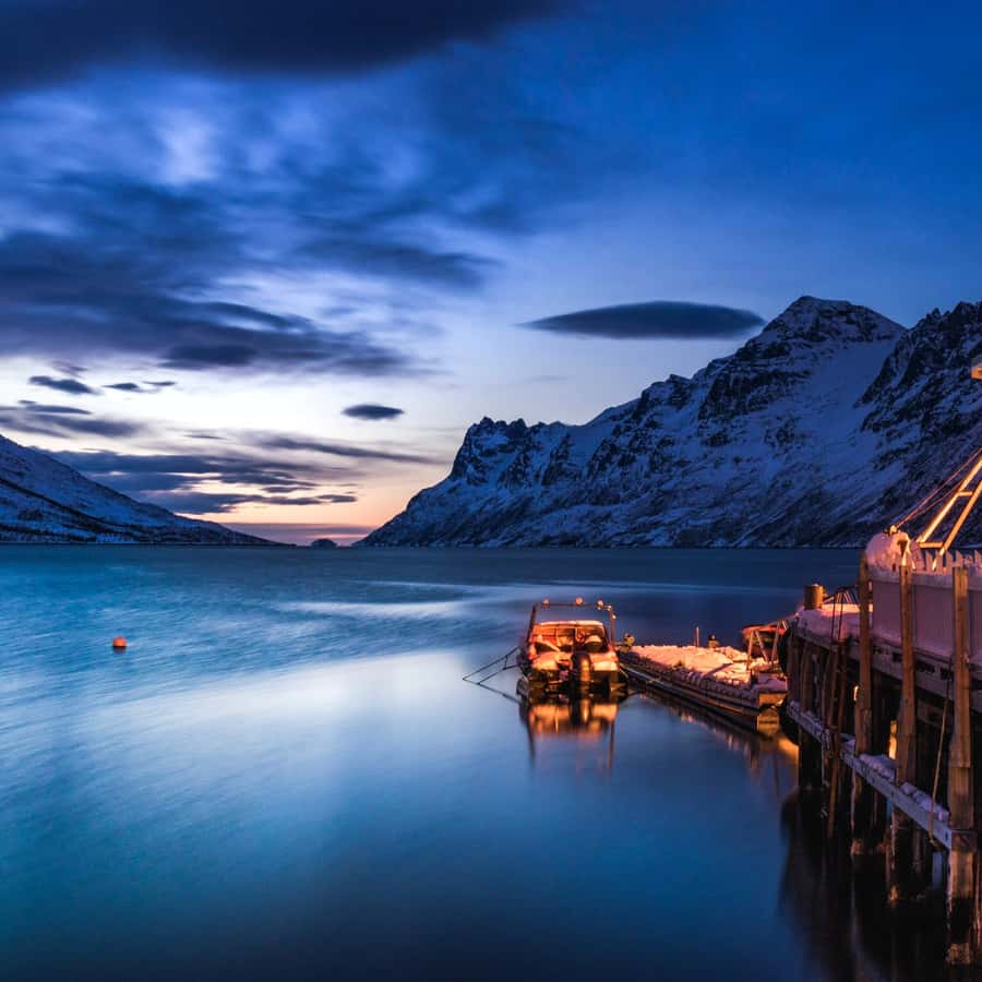 From Tromsø Arctic Wildlife & Fjord Sightseeing Tour by Car