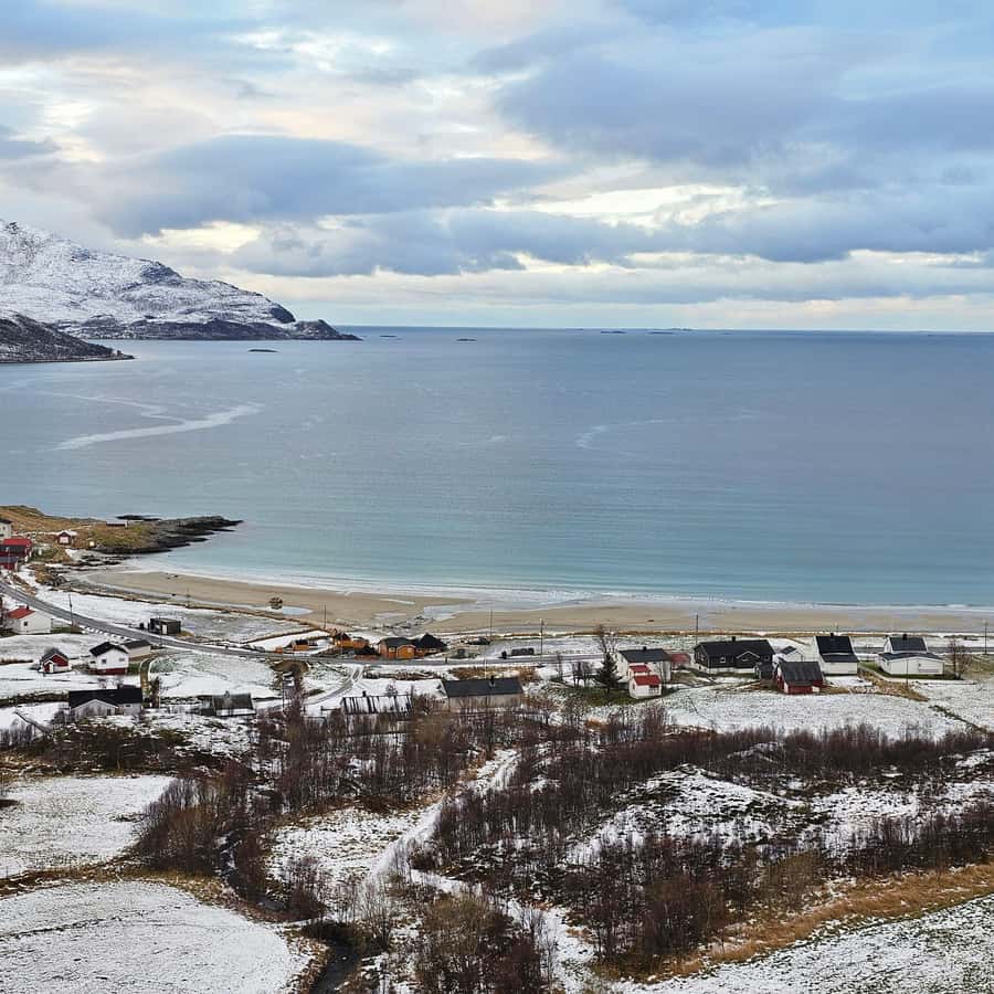 From Tromsø Arctic Wildlife & Fjord Sightseeing Tour by Car