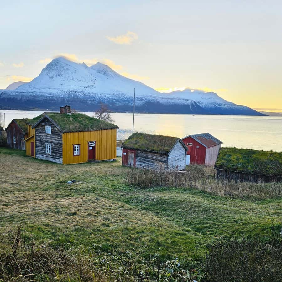 From Tromsø Arctic Wildlife & Fjord Sightseeing Tour by Car