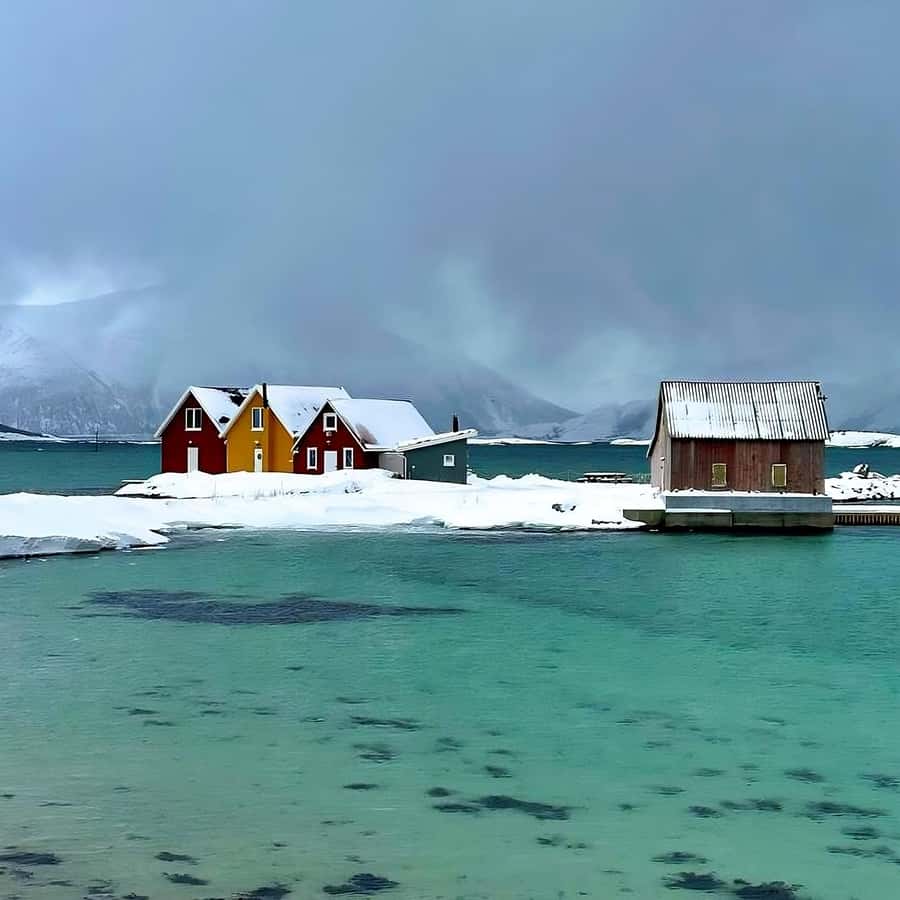 Tromsø Fjords and Sommarøy Islands Tour with Salmon Picnic