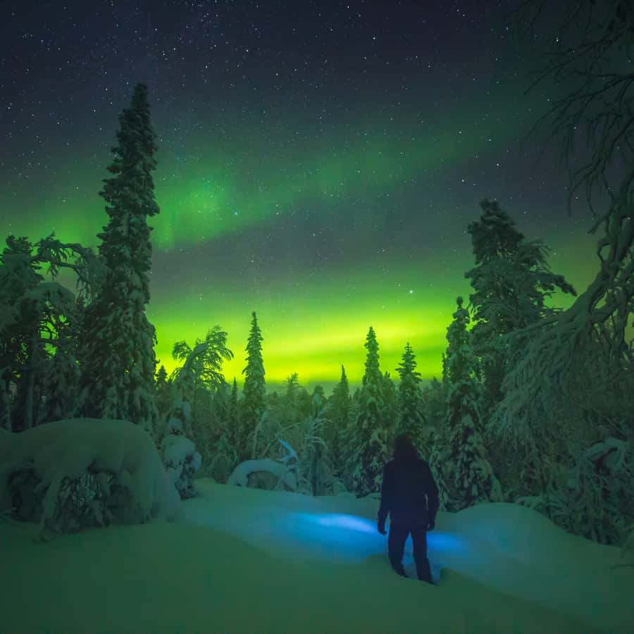 Tromsø Northern Lights Bus Tour with Free Photography