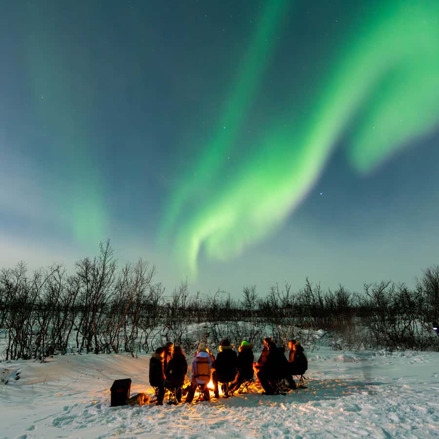 Tromsø Northern Lights Safari with Expert Guides