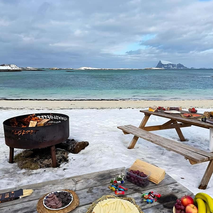 Tromsø Fjords and Sommarøy Islands Tour with Salmon Picnic