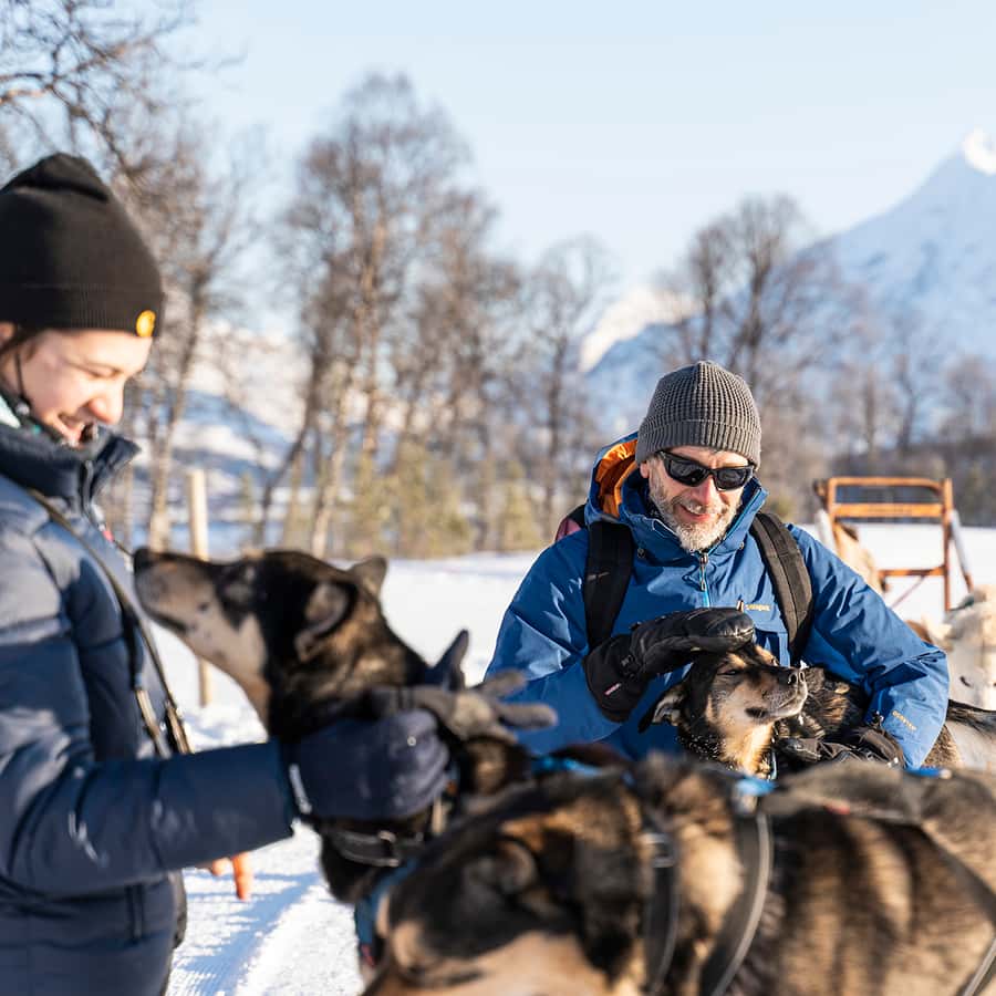 From Tromsø Husky Experience with Self Drive Dog Sled Ride