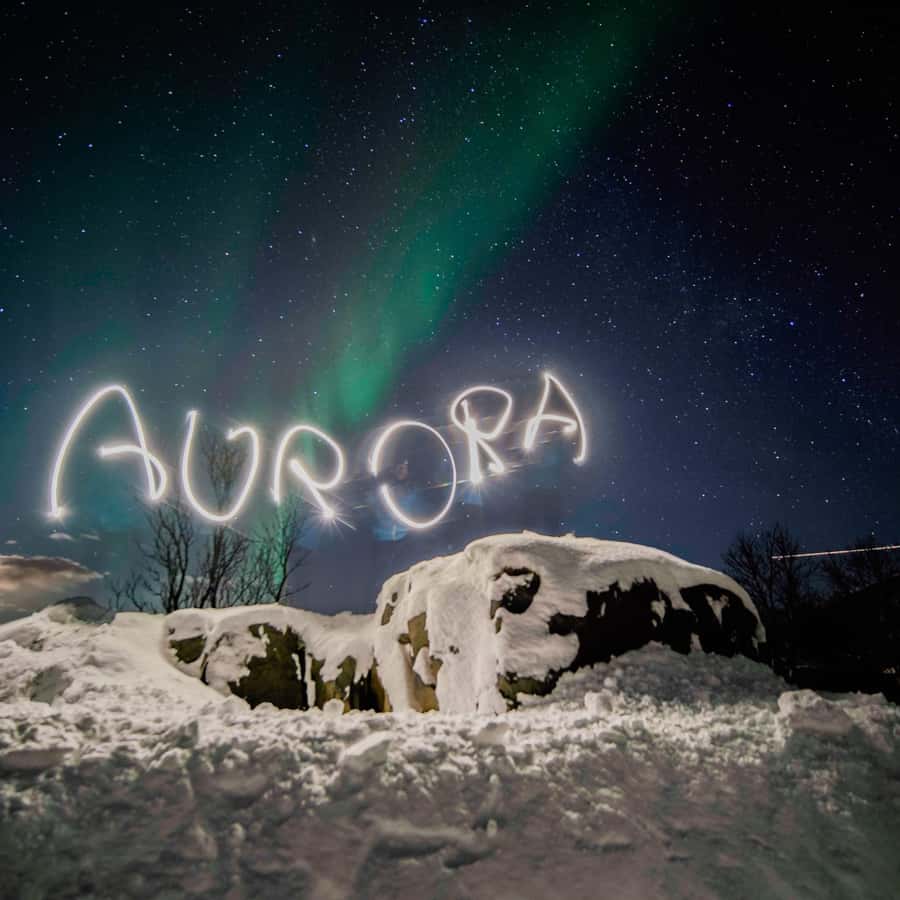 Tromsø Northern Lights Pioneer Tour with Photos Included