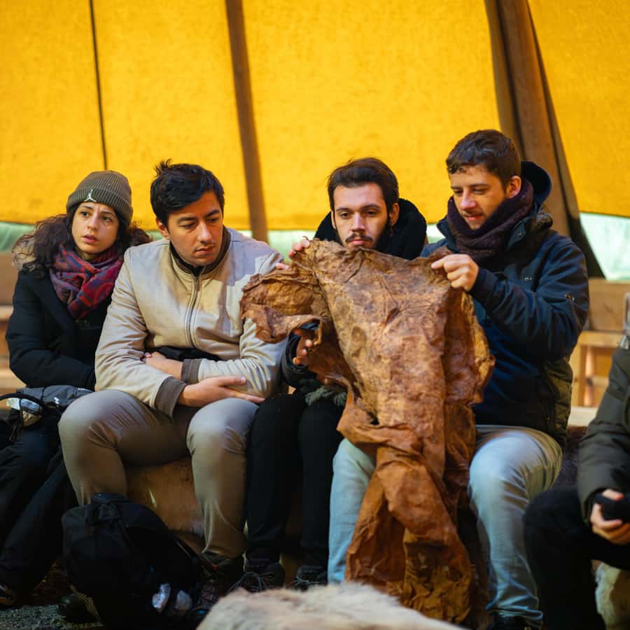 Tromsø: Royal Reindeer Feeding & Sami Culture Experience