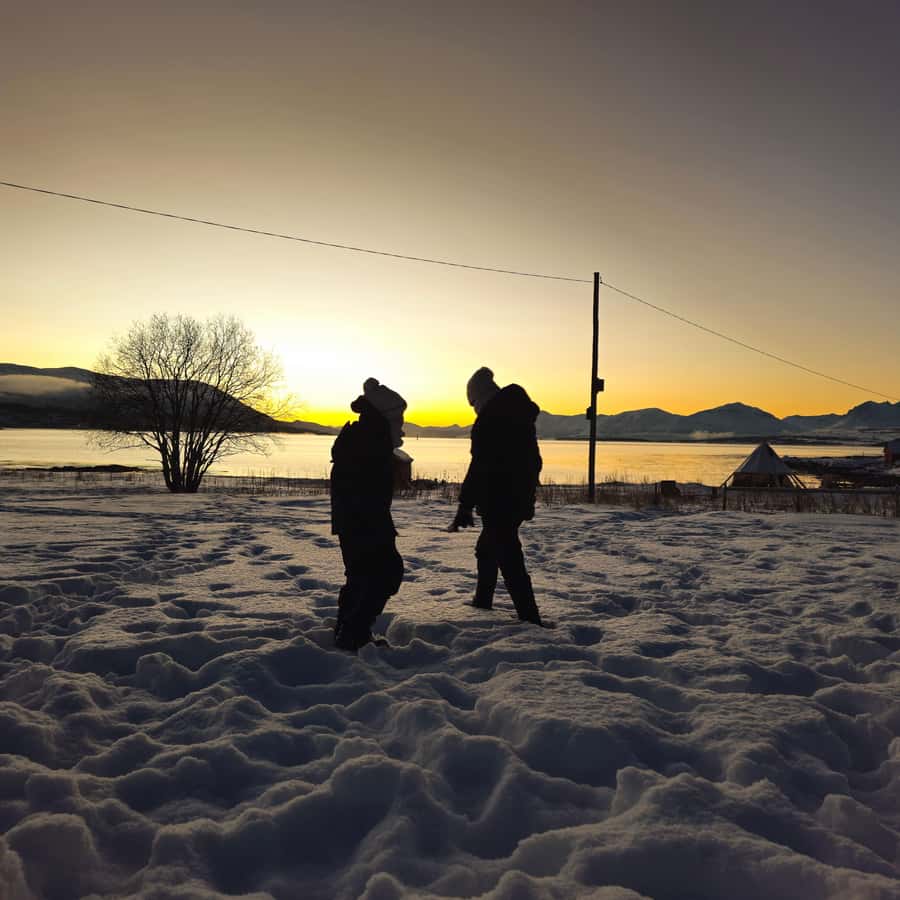 From Tromsø Arctic Wildlife & Fjord Sightseeing Tour by Car