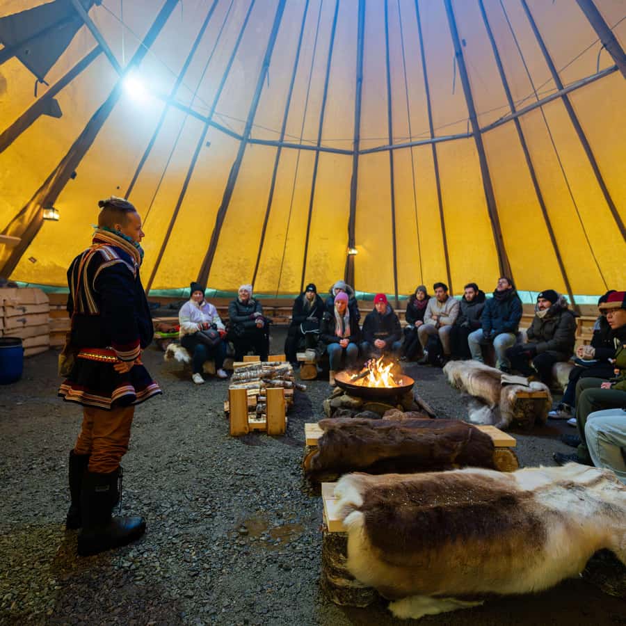 Tromsø: Royal Reindeer Feeding & Sami Culture Experience