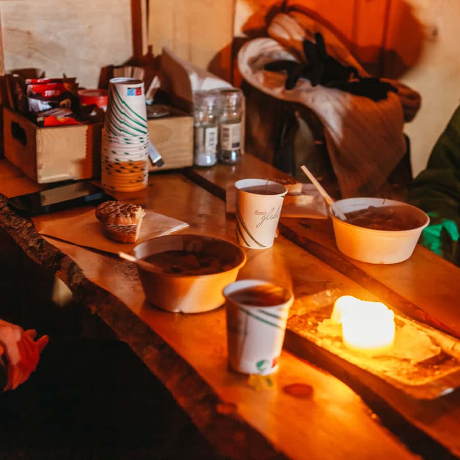 Tromsø Reindeer Sledding & Feeding with a Sami Guide