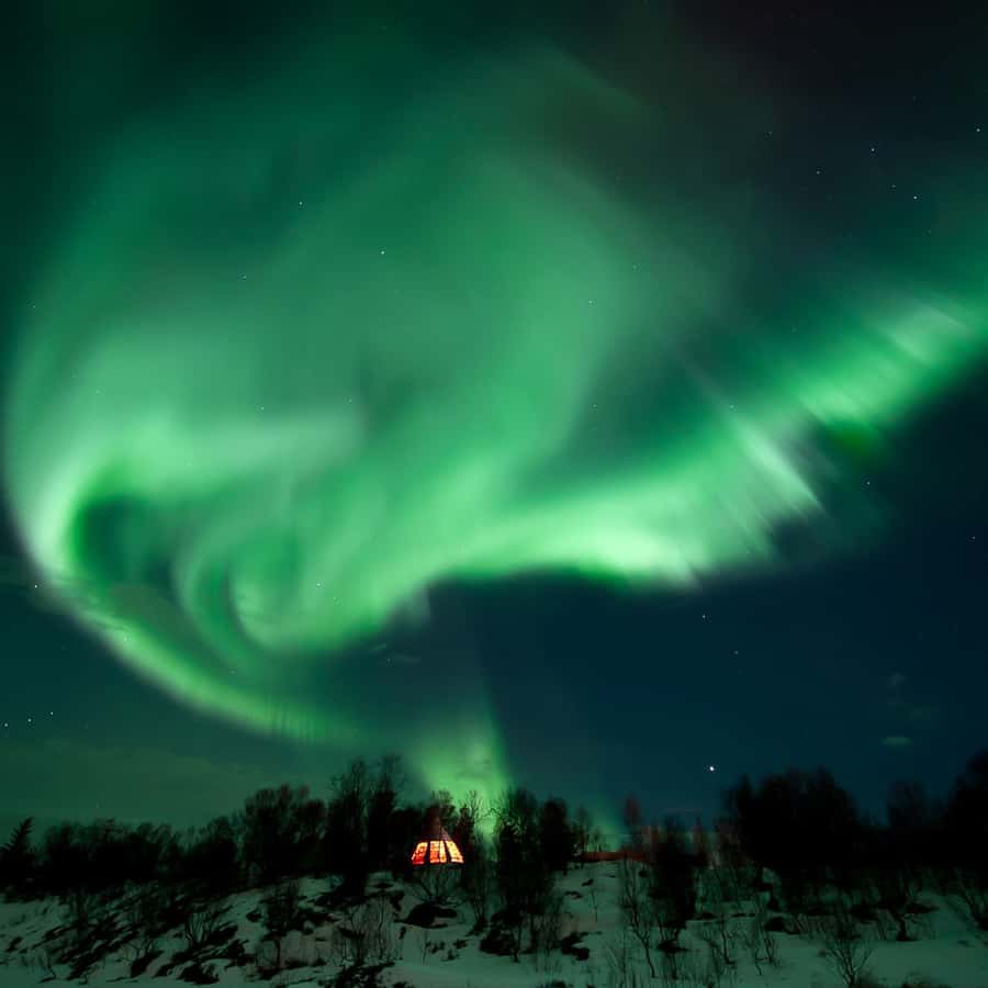 Tromsø Northern Lights Husky Visit with Traditional Dinner