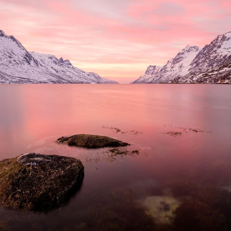 Tromsø Fjords and Sommarøy Islands Tour with Salmon Picnic
