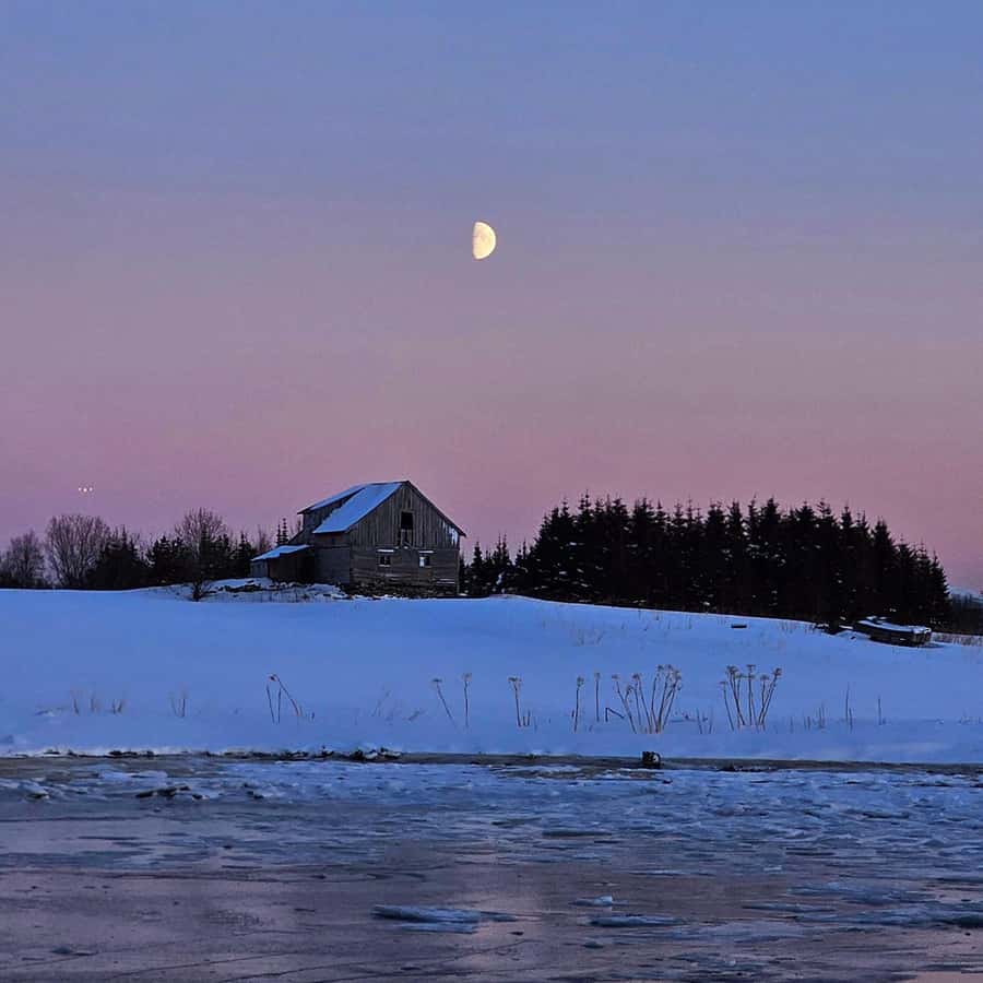 From Tromsø Arctic Wildlife & Fjord Sightseeing Tour by Car