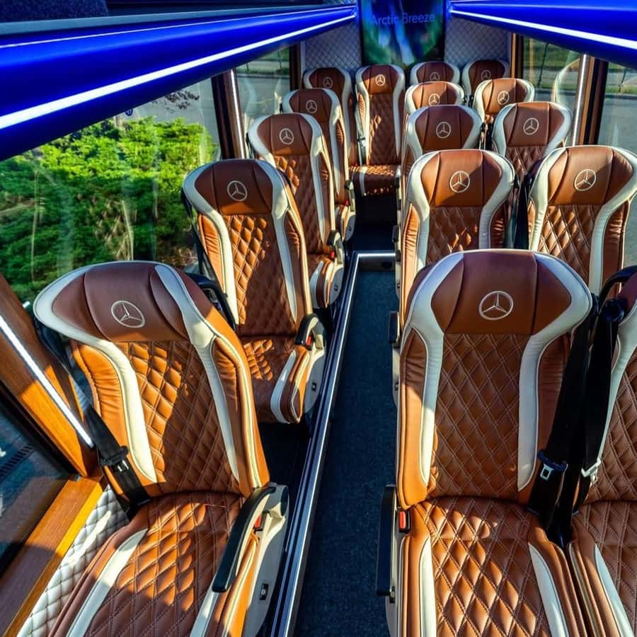 Tromsø Northern Lights Pioneer Tour with Photos Included